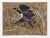 Modern Allen Friedman, Squawking Honker, Lithograph For Sale - Image 3 of 3