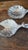 2000 - 2009 Arthur Court Jaguar Hammered 2 Aluminum Salad Servers with New in Box For Sale - Image 5 of 14