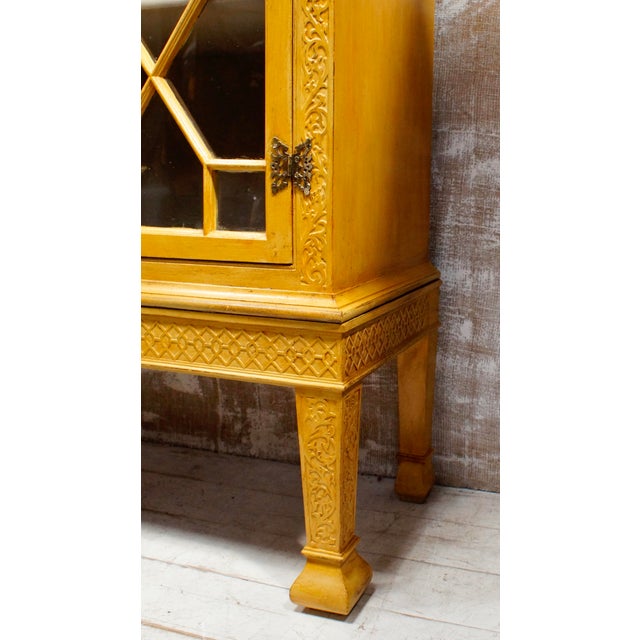 Early 19th Century Regency Ochre Astral Glazed Display Cabinet, 1820 For Sale - Image 5 of 12