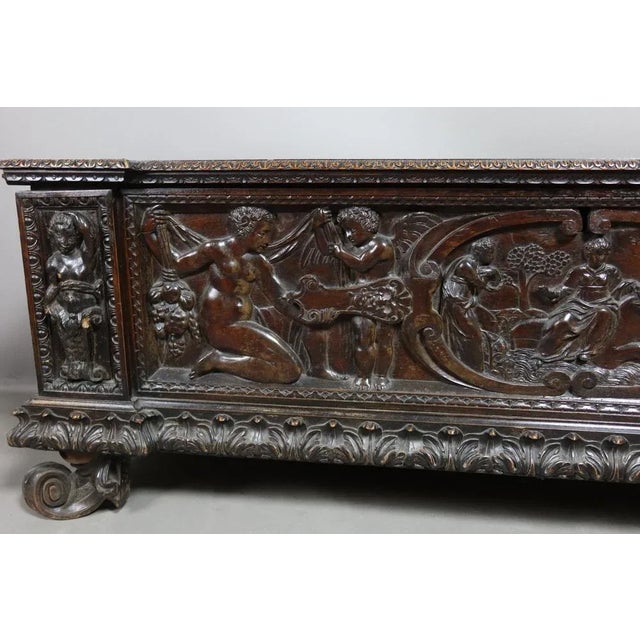 Walnut 19th Century Walnut Cassone Chest For Sale - Image 10 of 12