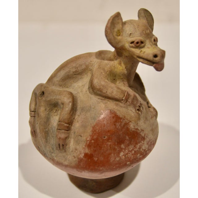 Pre Columbian Terracotta Animal Whistle For Sale - Image 10 of 10