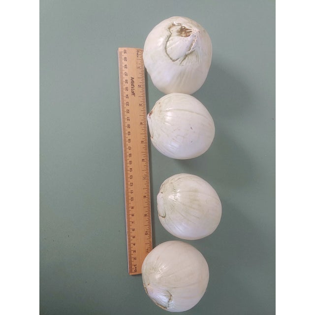 Wonderfully hand crafted group of white onions. These are suitable for a variety of home decor styles.