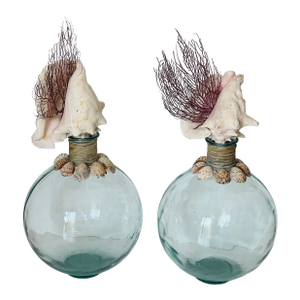 Fabulous Pair of Sea Shells Glass Demijohn Bottles