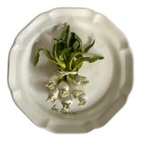 Late 20th Century Eva Gordon Trompe L’Oeil Scallion Plate, Signed Canadian Studio Pottery For Sale