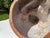 Vintage Large Crackle Glazed Seated Panda Ceramic Sculpture For Sale - Image 12 of 12