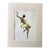 Vintage Paul Colin Print of Josephine Baker in in 14x18 Mat, EUC For Sale