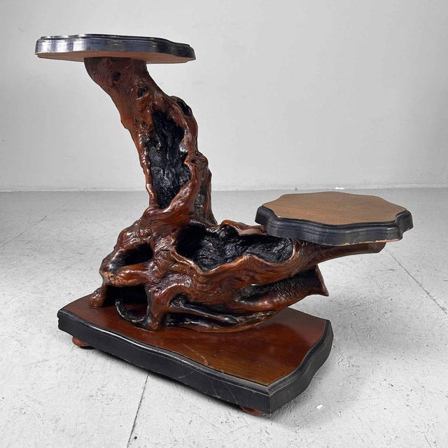 Japanese Burl Wood Plant Stand, 1920s For Sale - Image 13 of 16