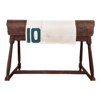 1960s Vintage Racehorse Saddle Cloth, #10 For Sale