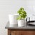 Modern Porcelain Face Planter (Set of 2) For Sale - Image 3 of 6