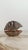 Vintage Triton Trumpet Shell Shaped Silver-Plated Metal Trinket Case Box, 1970s For Sale - Image 6 of 18