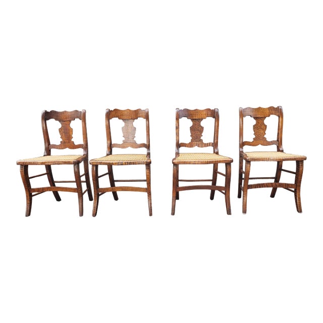 Early American Tiger Wood and Cane Seat Chairs, Set of 4 For Sale