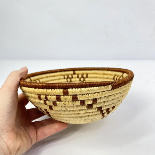 Early 20th Century Early 20th Century Zulu Basket South Africa 7inch MATTER COLLECTION For Sale - Image 5 of 6