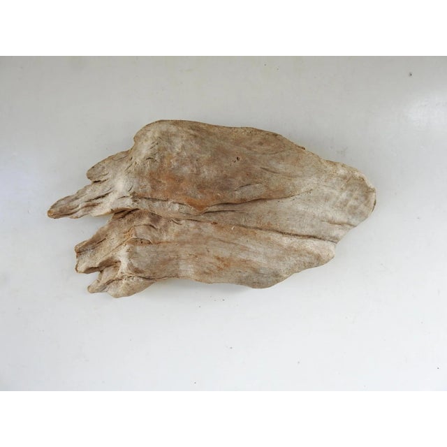 Shabby Chic Tiny Mixed Media Coastal Seascape Painting Driftwood Frame For Sale - Image 3 of 4