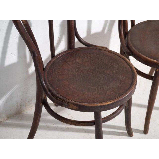 Antique Bentwood Chairs from Thonet, Central Europe, 1900, Set of 2 For Sale - Image 3 of 11