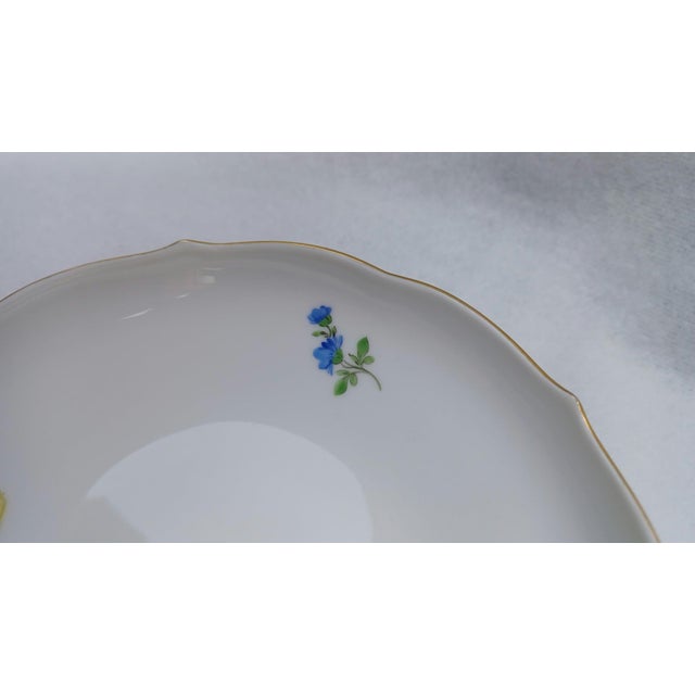 Porcelain Tea Cup and Saucer with Hand-Painted Blue Crocus from Meissen, 1960, Set of 2 For Sale - Image 6 of 17