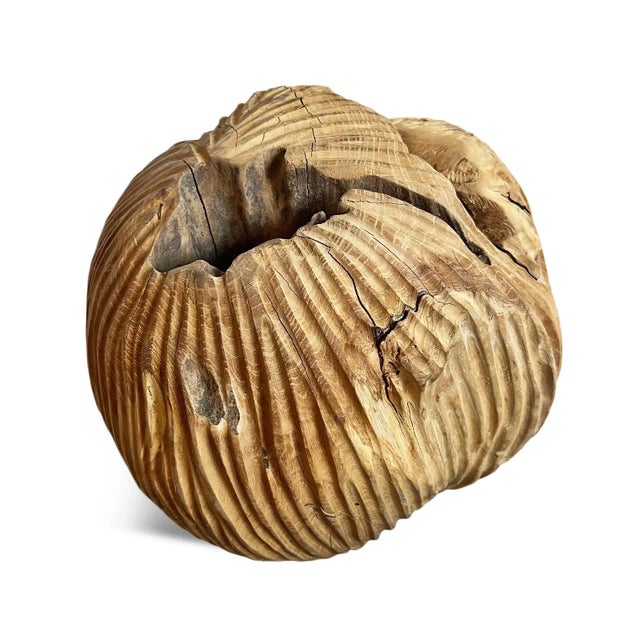 Contemporary Vintage Rustic Teak Root Ball Art For Sale - Image 3 of 7