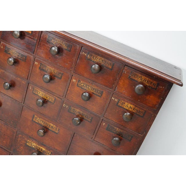 19th Century Hardwood Apothecary Cabinet, England For Sale - Image 3 of 18