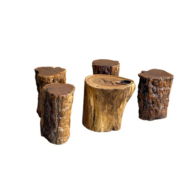 Rustic Set of 5 Raw Wood Rough Grain Finish Irregular Shape Short Stool Table For Sale - Image 3 of 11