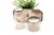 Toiletry Set with Silver Tray and Acid-Etched Glass Bottles with Silver Lids and Embossed Trim, Set of 3 For Sale - Image 5 of 6
