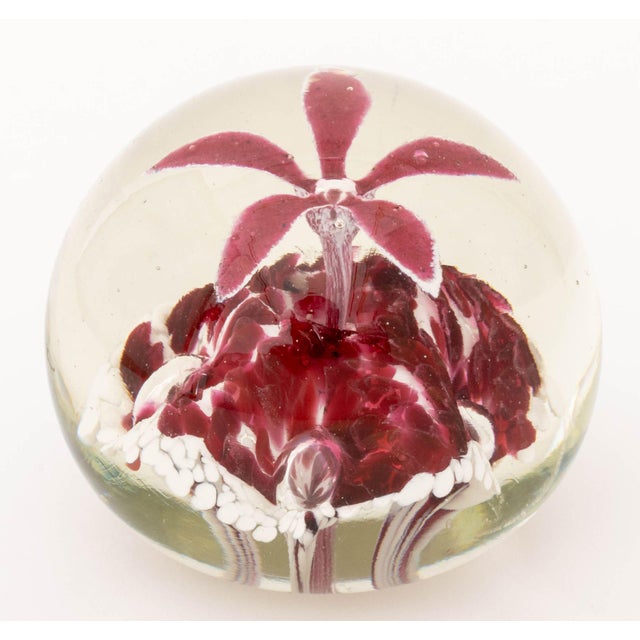 Late 19th Century Collection of Six French, Scottish, and Murano Glass Paperweights For Sale - Image 5 of 13