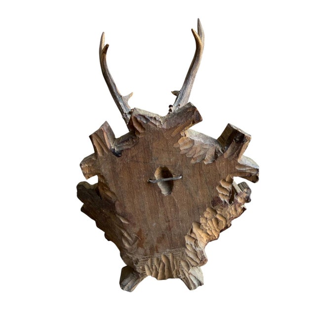 1900 - 1909 Roe Deer Trophy 212 Black Forest Antlers Mount For Sale - Image 5 of 5