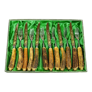 Vintage Stainless Steel and Horn Cutlery Set 'Othello' by Anton Wingen, 1950s