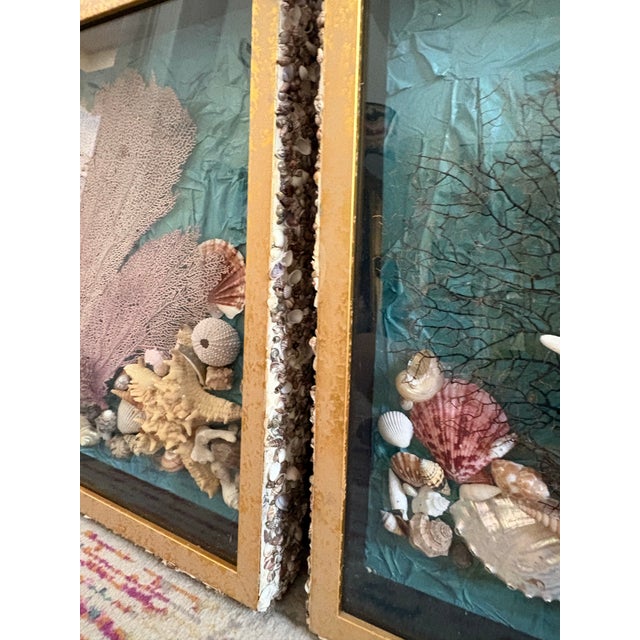 Shabby Chic Vintage Seashell Collage Shadow Boxes -a Pair For Sale - Image 3 of 12