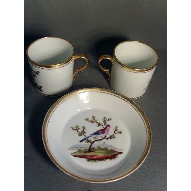 Gold 1810 Old Paris Porcelain Ornithological Bird Pattern Coffee Cups & Saucers Set- 12 Pieces For Sale - Image 8 of 13