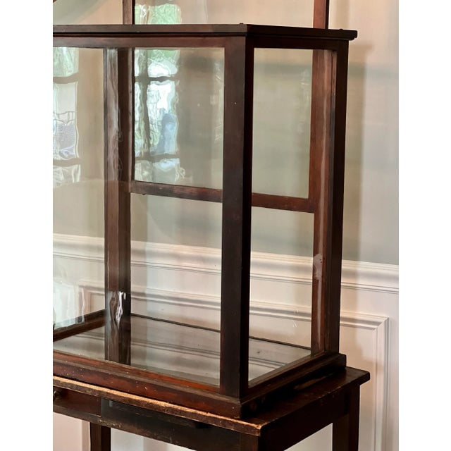 Antique English Six-Pane Glass and Mahogany Display Showcase Vitrine, C. 1900 For Sale In Philadelphia - Image 6 of 14