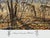 AUTUMN ENCOUNTER - WHITETAIL DEER by LARRY ZACH ~ LE SIGNED NUMBERED PRINT LLARRY ZACH is one of the most important...