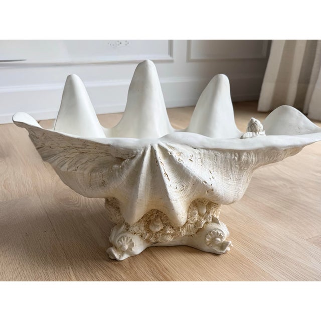 Hollywood Regency Rare Vintage Winterthur Museum Giant Clam Shell Centerpiece Bowl on Coral Base For Sale - Image 3 of 10