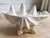 Hollywood Regency Rare Vintage Winterthur Museum Giant Clam Shell Centerpiece Bowl on Coral Base For Sale - Image 3 of 10
