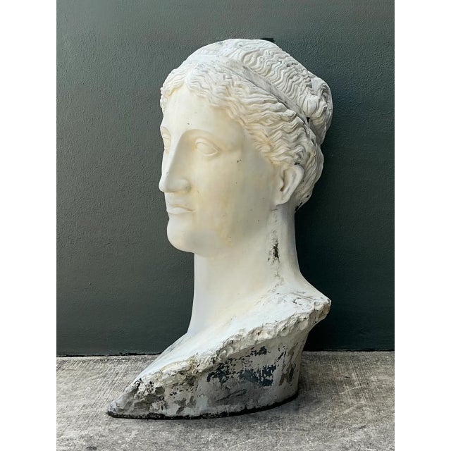Vintage Monumental Fiberglass Roman Goddess Head Sculpture For Sale In West Palm - Image 6 of 12