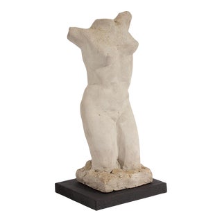 Plaster Sculpture of a Torso For Sale