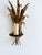 Vintage Gilt Metal Wheat Sheaf Wall Sconce, France, 1960s For Sale - Image 4 of 13