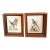 Pair Antique Original George Edwards Bird Prints, Framed For Sale