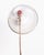 Wood Mid 20th Century Acme Lite Chicago Photo Lighting Industrial Floor Lamp Victor Stand Mid Century - a Pair For Sale - Image 7 of 18