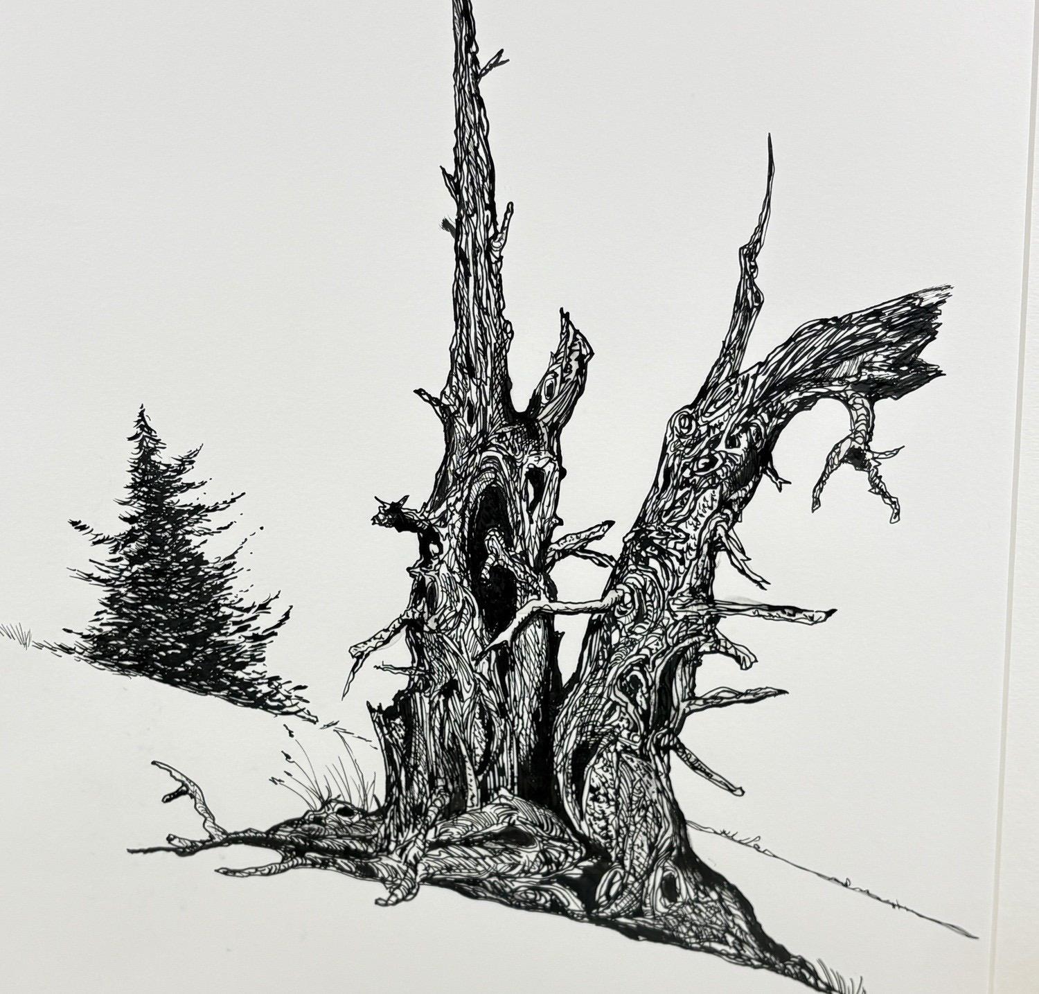 1980s Steve LeBailly Signed Pen & Ink Drawing 