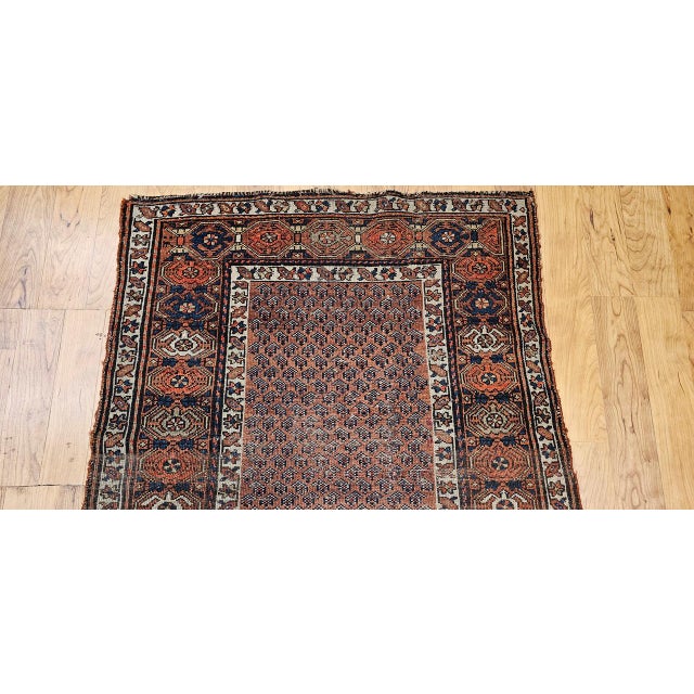 Antique Kurdish Rug, Hand-Knotted Wool, All-over Paisley Pattern, Rust & Navy, 3x6 For Sale - Image 11 of 17