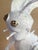 "Lobster Boy #11," Porcelain Sculpture by Robert Hechler For Sale - Image 9 of 15