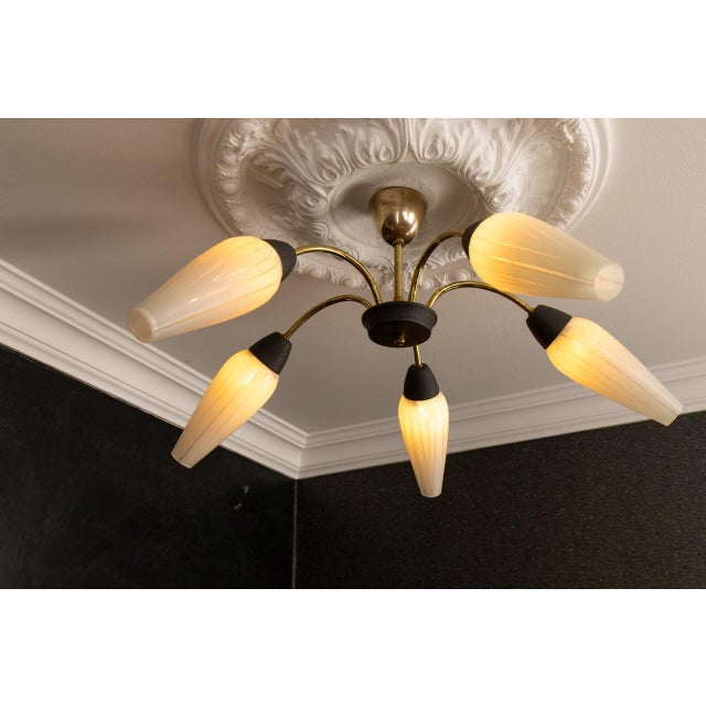 Mid-Century Modern German Sputnik Chandelier, 1950s For Sale - Image 4 of 18