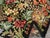Mid-20th Century Handmade Portuguese Piled Accent Rug For Sale In New York - Image 6 of 7