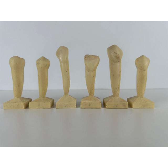 Plastic Vintage Dentistry Didactic Models, 1970s, Set of 6 For Sale - Image 7 of 10