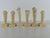Plastic Vintage Dentistry Didactic Models, 1970s, Set of 6 For Sale - Image 7 of 10