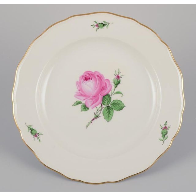 German Dinner Plates from Meissen, 1920s, Set of 4 For Sale - Image 6 of 10