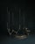 Omnia Vanitas Vanité 32 Candelabra in Patinated Cast Bronze by William Guillon For Sale - Image 13 of 14