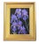 Lavender Purple Floral Botanical Garden Irises Oil Painting Including the Antiqued Gold Wood Frame For Sale In Los Angeles - Image 6 of 6