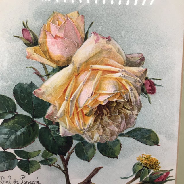 1905 Paul De Longpre Roses Framed Lithograph Printed by the Grey Co. New York For Sale - Image 12 of 13