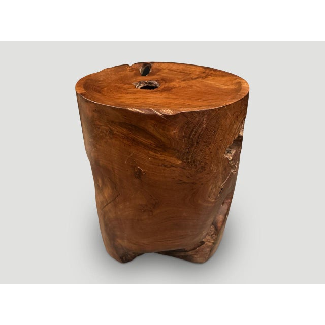 Andrianna Shamaris Sculptural Teak Wood Tray Side Table For Sale - Image 18 of 18