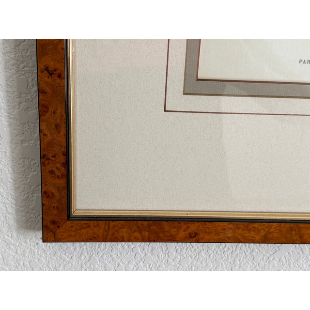 Chestnut Ethan Allen Framed Antique Bird Print: Paris Major For Sale - Image 8 of 10
